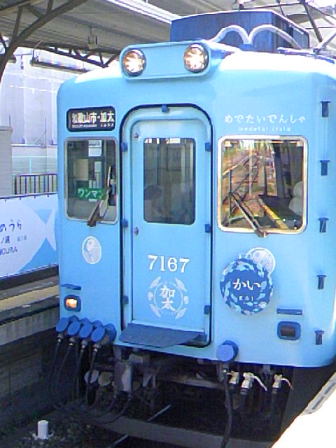 南海電車7100系 「めでたいでんしゃ　かい」 和歌山市駅