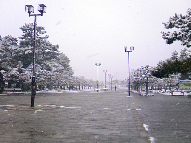 雪の日の浜寺公園